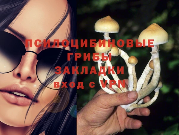 прущая мука Болотное