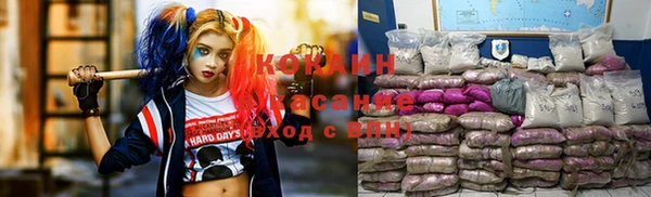ешки Алексеевка